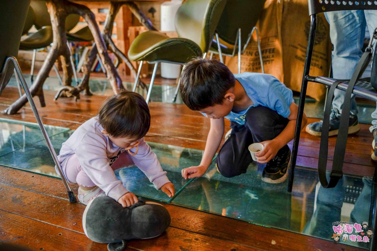嘉義美食》魚罐頭咖啡館 | 被綠植包覆的絕美玻璃屋咖啡廳,坐擁田園景緻,還可在室內觀魚池餵魚很有趣 嘉義美食》魚罐頭咖啡館 | 被綠植包覆的絕美玻璃屋咖啡廳,坐擁田園景緻,還可在室內觀魚池餵魚很有趣