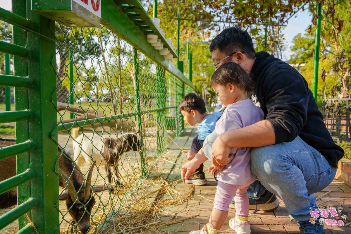 嘉義景點》新港香藝文化園區 | 免門票！可餵養動物親子同樂，還有超好拍八卦香波波草及文化特色