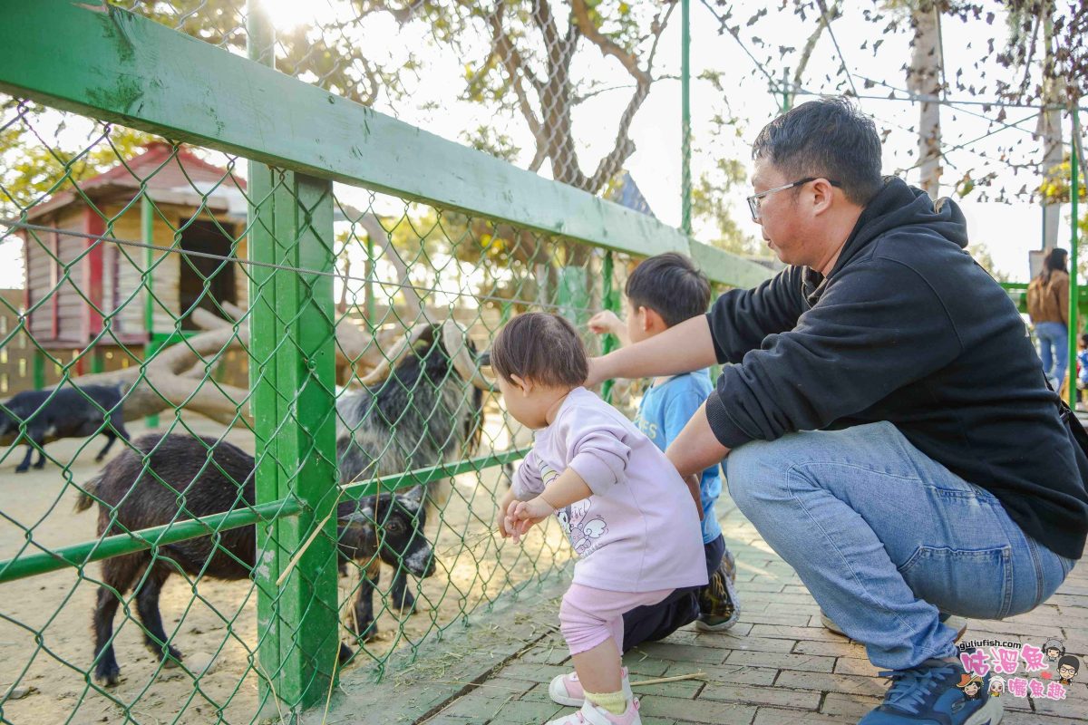 嘉義景點》新港香藝文化園區 | 免門票！可餵養動物親子同樂，還有超好拍八卦香波波草及文化特色