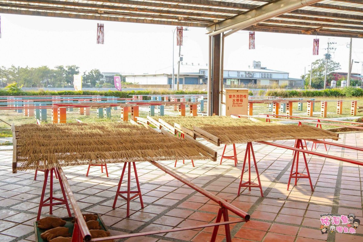 嘉義景點》新港香藝文化園區 | 免門票！可餵養動物親子同樂，還有超好拍八卦香波波草及文化特色
