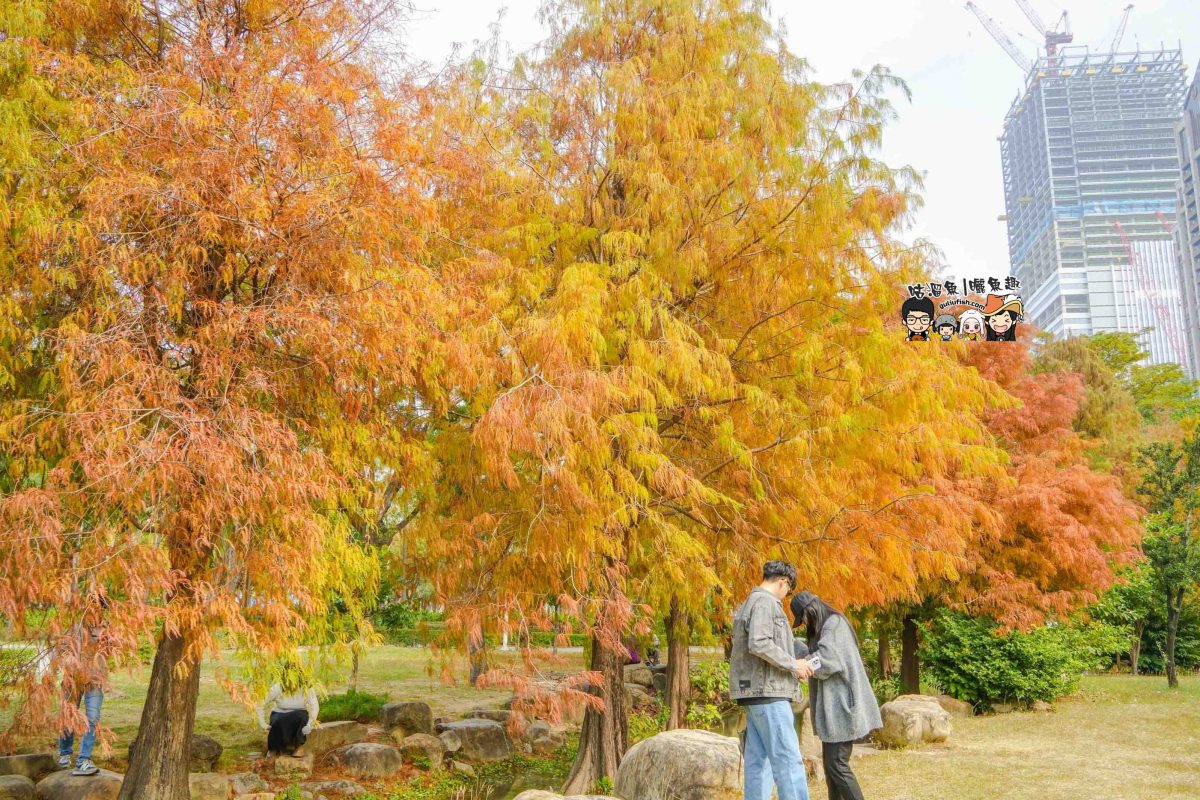 高雄景點》凹子底森林公園 落羽松 | 不用跑很遠！隱藏在市區裡的森林落羽松秘境