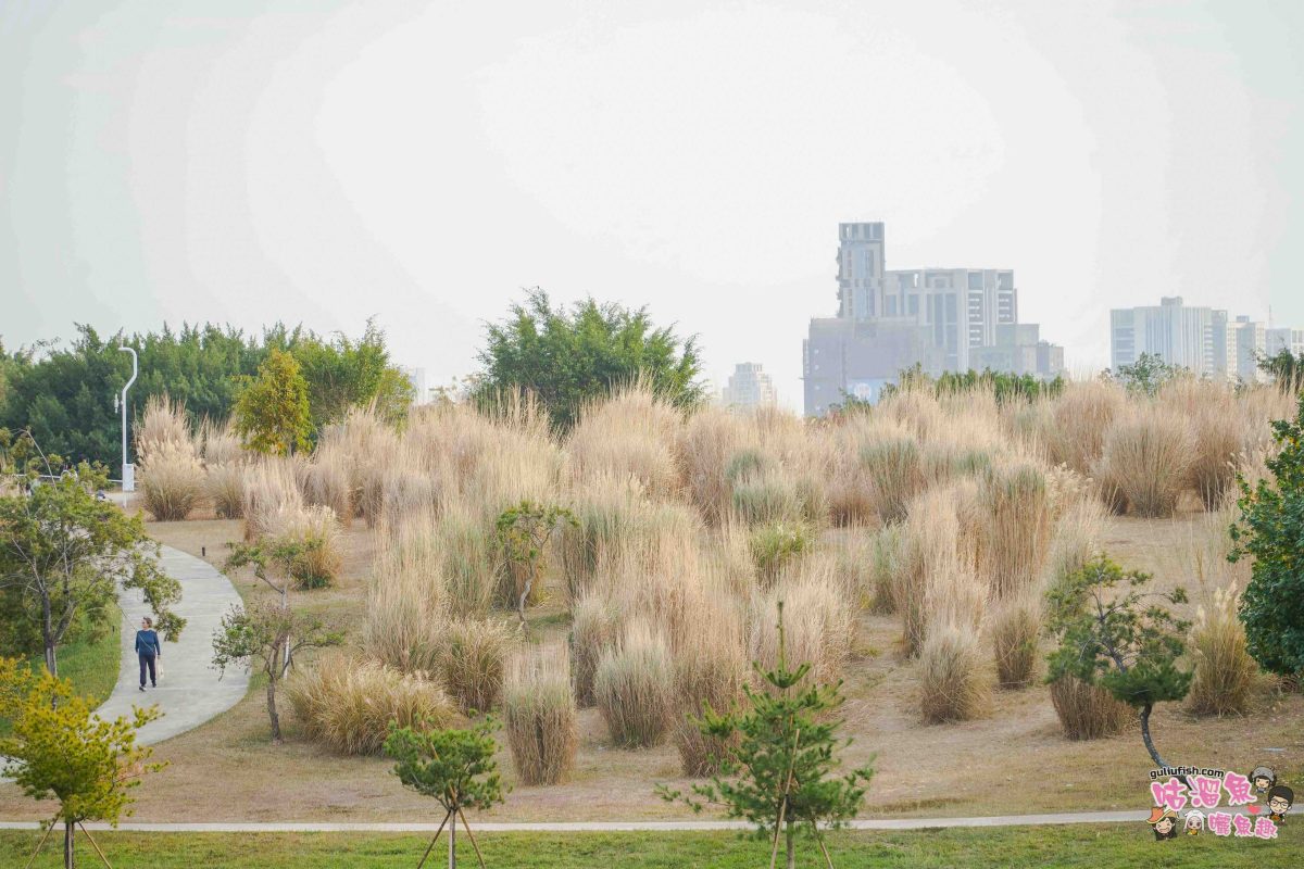 台中景點》臺中綠美圖 | 隱藏公園裡的絕美圖書館，森林中的美術館，夢幻白建築結合愜意戶外綠地空間