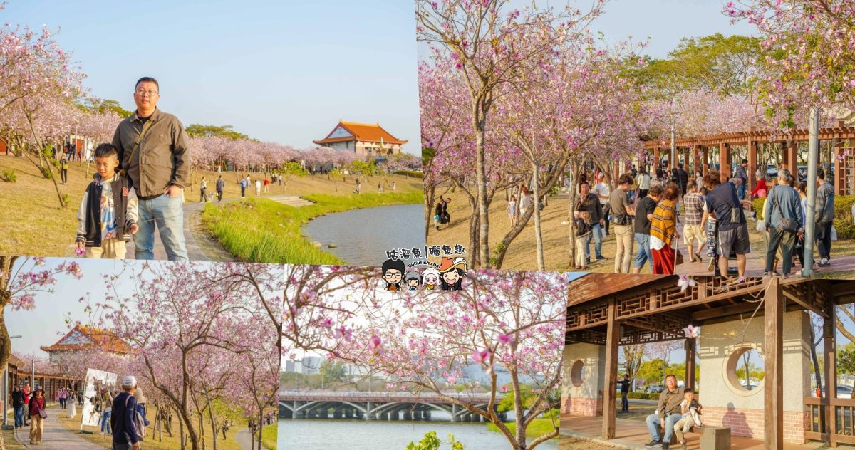 台南景點》南科堤塘湖 | 粉紅浪漫來襲!千株羊蹄甲絕美盛開中 台南景點》南科堤塘湖 | 粉紅浪漫來襲!千株羊蹄甲絕美盛開中