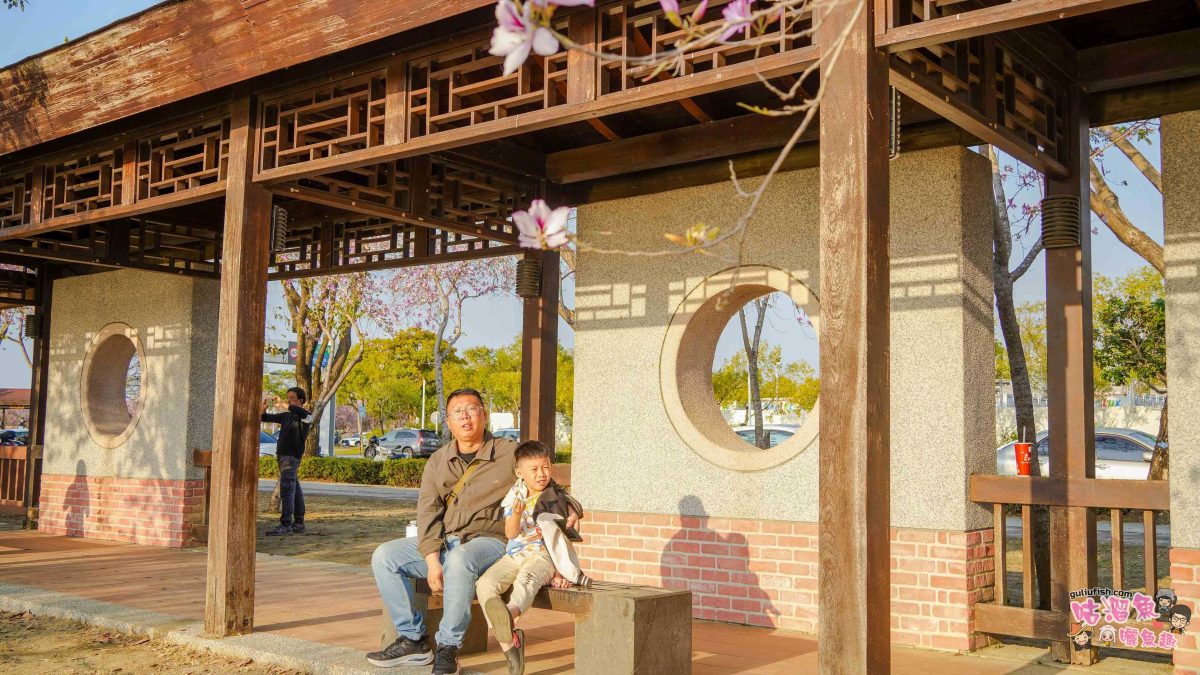 台南景點》南科堤塘湖 | 粉紅浪漫來襲!千株羊蹄甲絕美盛開中 台南景點》南科堤塘湖 | 粉紅浪漫來襲!千株羊蹄甲絕美盛開中