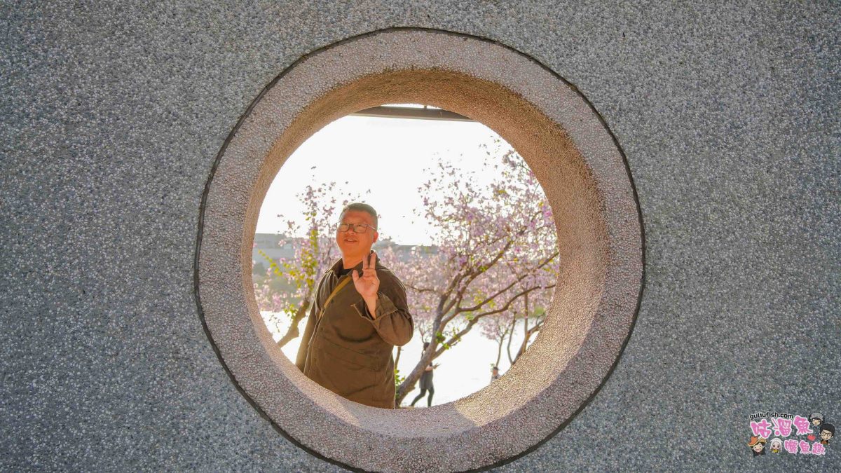 台南景點》南科堤塘湖 | 粉紅浪漫來襲!千株羊蹄甲絕美盛開中 台南景點》南科堤塘湖 | 粉紅浪漫來襲!千株羊蹄甲絕美盛開中