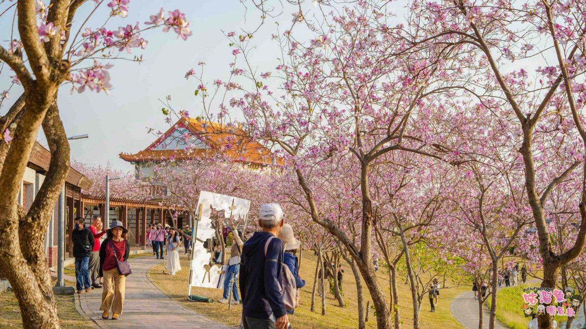 台南景點》南科堤塘湖 | 粉紅浪漫來襲!千株羊蹄甲絕美盛開中 台南景點》南科堤塘湖 | 粉紅浪漫來襲!千株羊蹄甲絕美盛開中