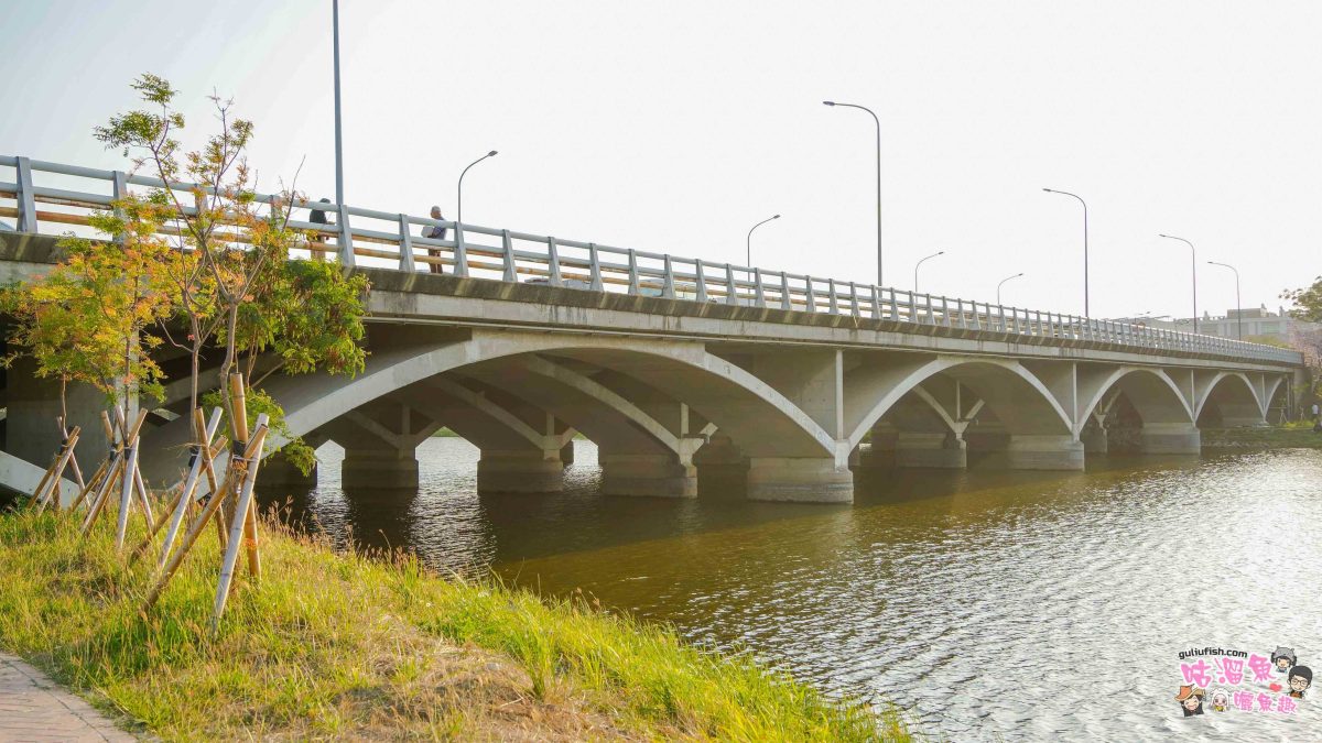 台南景點》南科堤塘湖 | 粉紅浪漫來襲!千株羊蹄甲絕美盛開中 台南景點》南科堤塘湖 | 粉紅浪漫來襲!千株羊蹄甲絕美盛開中