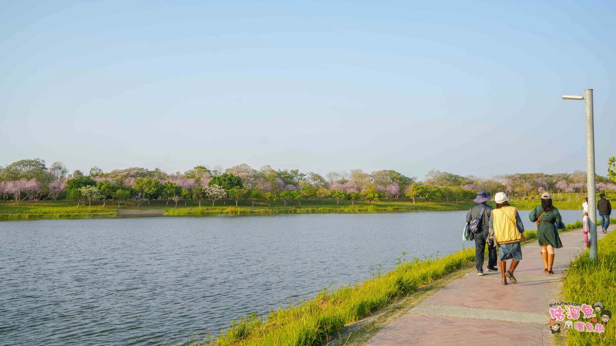 台南景點》南科堤塘湖 | 粉紅浪漫來襲!千株羊蹄甲絕美盛開中 台南景點》南科堤塘湖 | 粉紅浪漫來襲!千株羊蹄甲絕美盛開中