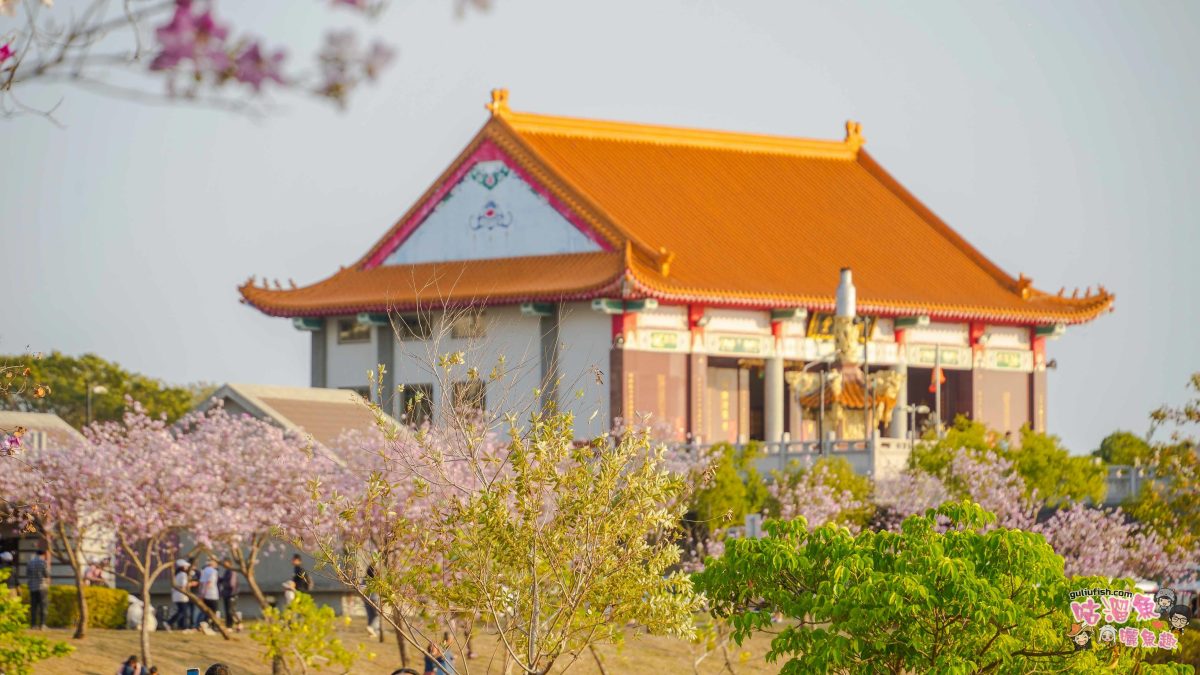 台南景點》南科堤塘湖 | 粉紅浪漫來襲!千株羊蹄甲絕美盛開中 台南景點》南科堤塘湖 | 粉紅浪漫來襲!千株羊蹄甲絕美盛開中