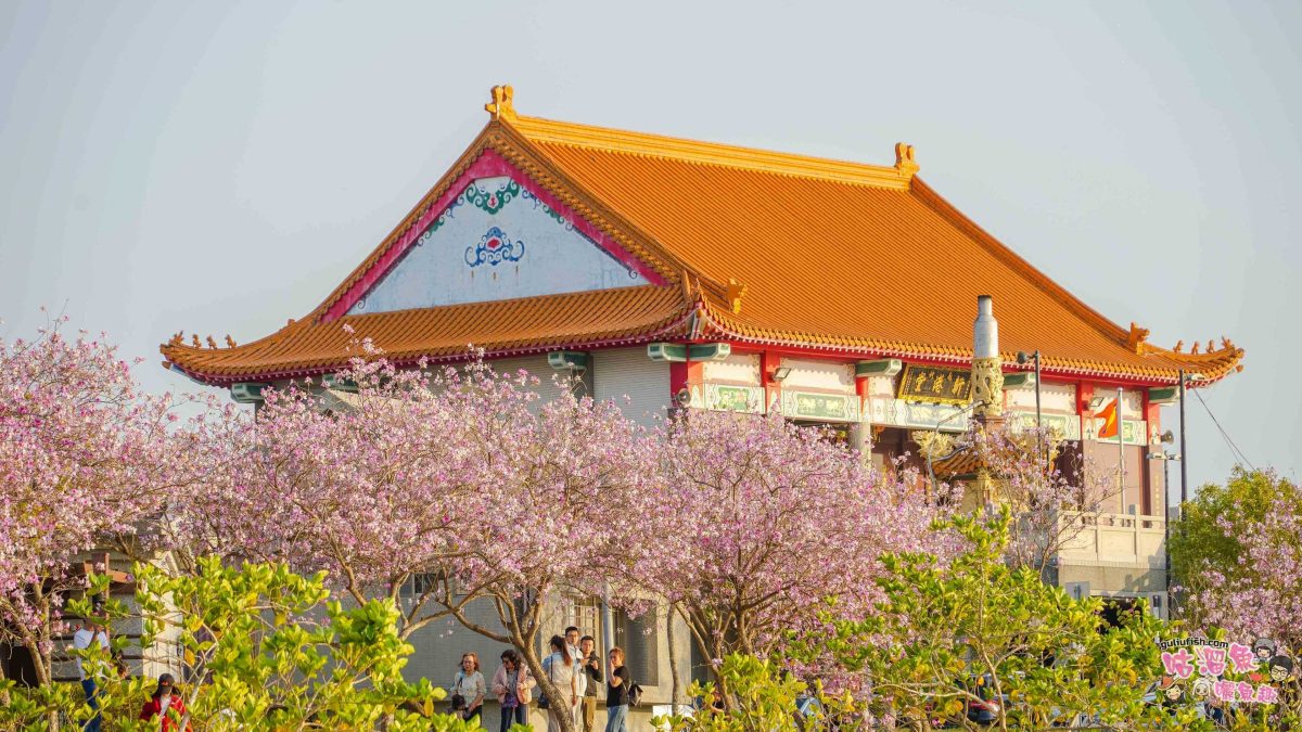 台南景點》南科堤塘湖 | 粉紅浪漫來襲!千株羊蹄甲絕美盛開中 台南景點》南科堤塘湖 | 粉紅浪漫來襲!千株羊蹄甲絕美盛開中