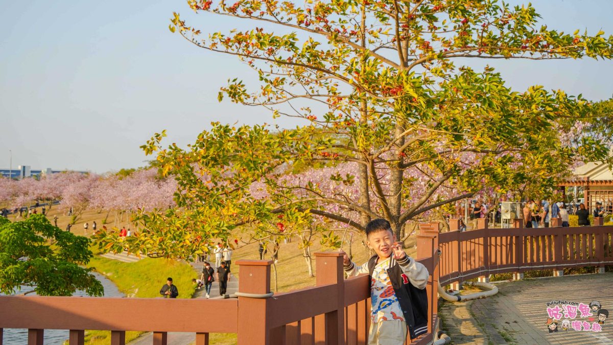 台南景點》南科堤塘湖 | 粉紅浪漫來襲!千株羊蹄甲絕美盛開中 台南景點》南科堤塘湖 | 粉紅浪漫來襲!千株羊蹄甲絕美盛開中