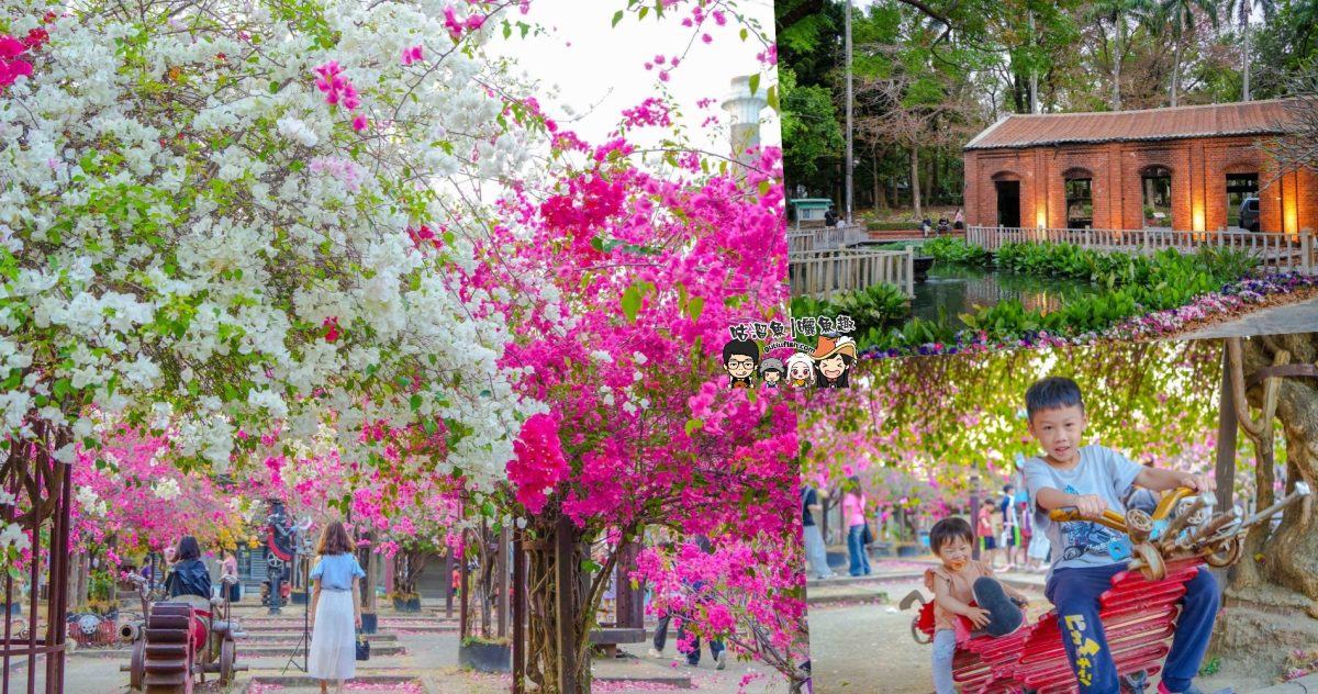 高雄景點》橋頭糖廠 鐵園迷城 | 絕美繽紛九重葛，夢幻盛開浪漫迷城中！
