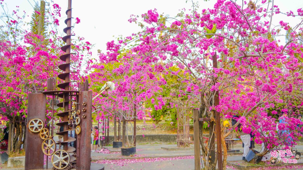 高雄景點》橋頭糖廠 鐵園迷城 | 絕美繽紛九重葛，夢幻盛開浪漫迷城中！