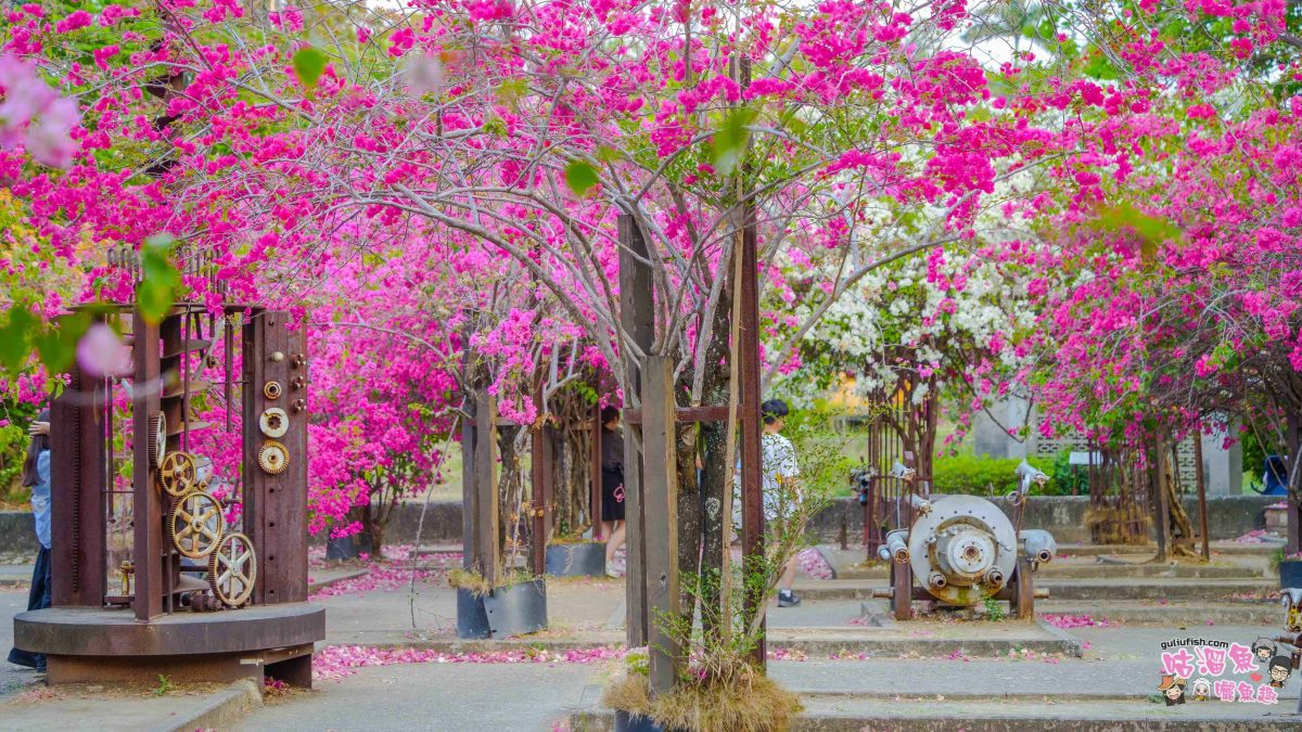 高雄景點》橋頭糖廠 鐵園迷城 | 絕美繽紛九重葛，夢幻盛開浪漫迷城中！