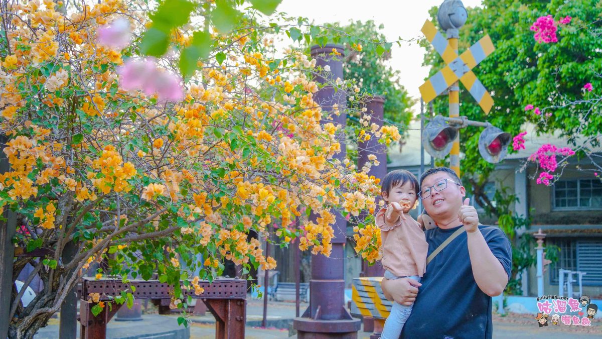 高雄景點》橋頭糖廠 鐵園迷城 | 絕美繽紛九重葛，夢幻盛開浪漫迷城中！